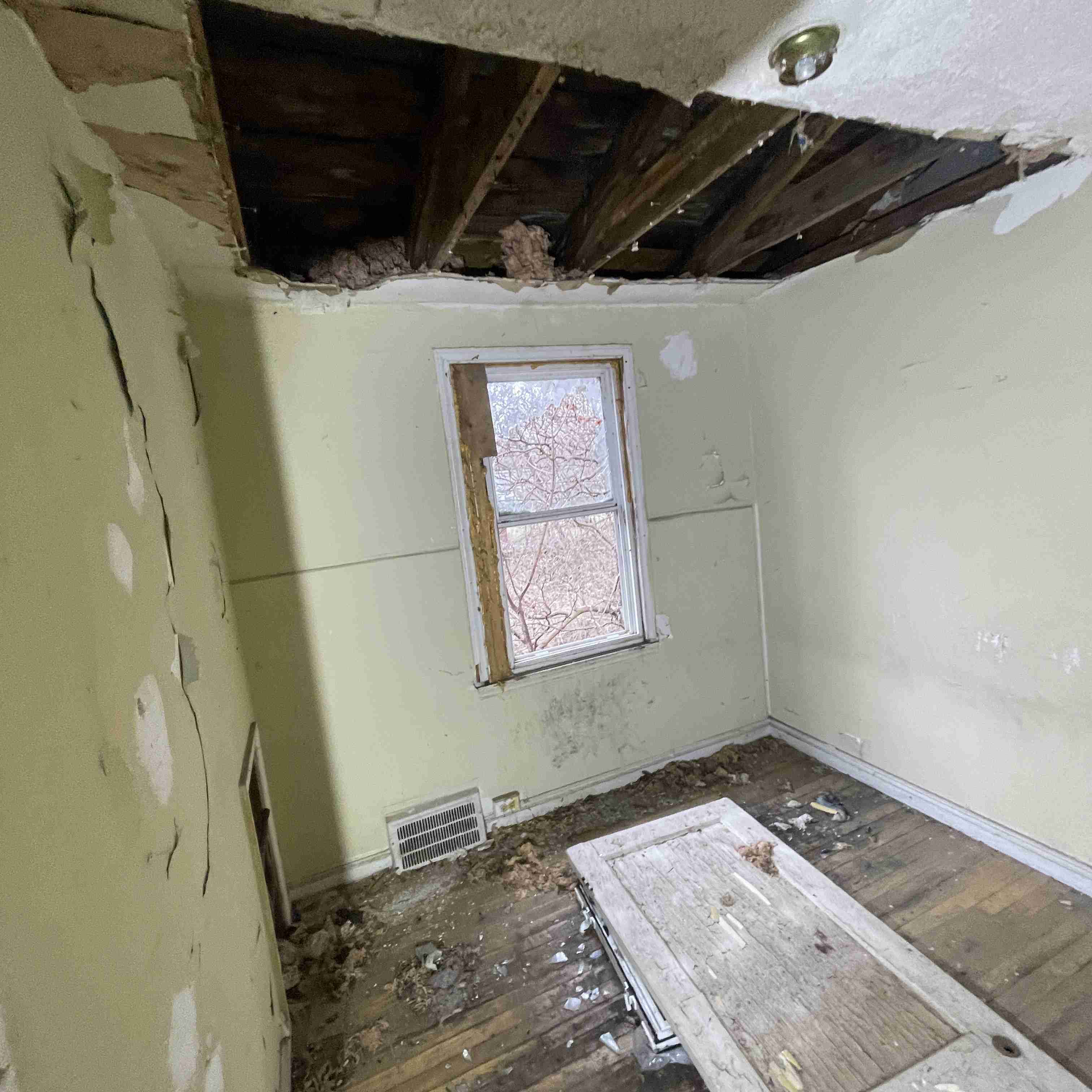 20015 Schoenherr (47).jpg